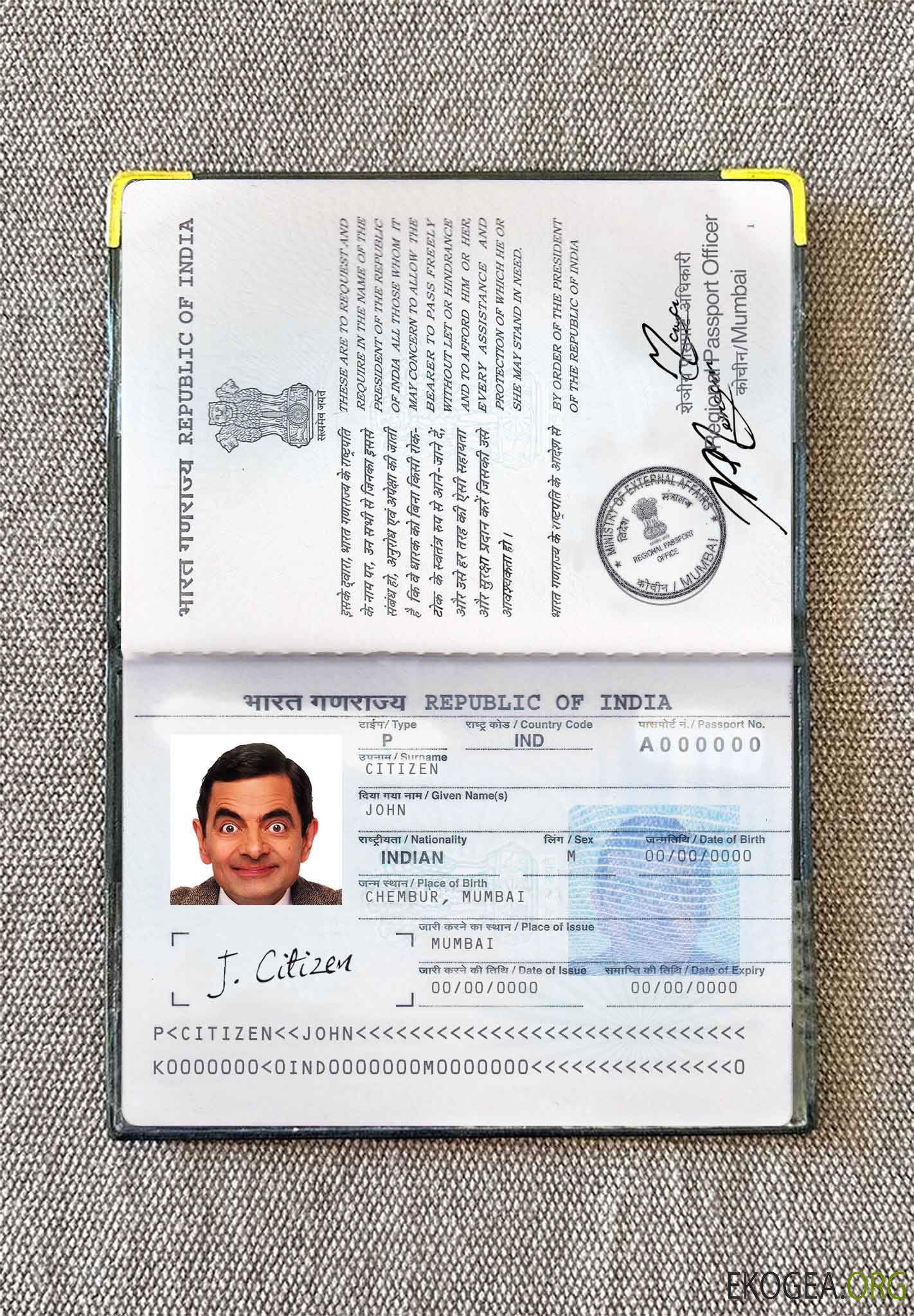 Look photo du passeport indien (2013 présent)